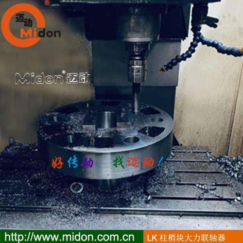 1680778299264046.jpg LK柱梢联轴器2.jpg