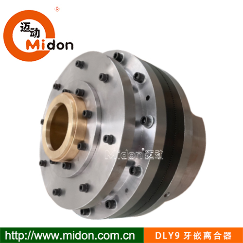1754893144552443.jpg DLY9牙嵌离合器1.jpg